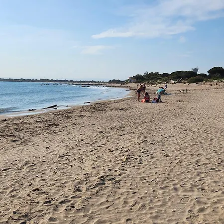 Le Peche Mignon - 2 - Locationlatamarissiere شقة