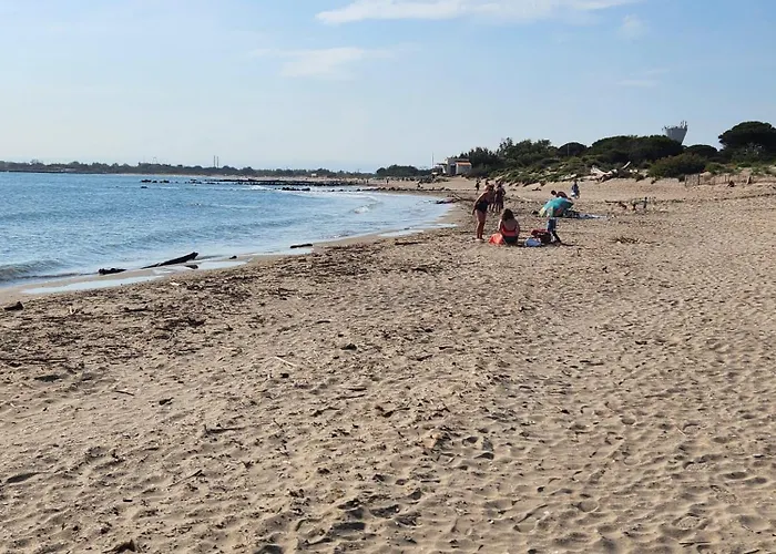 Le Peche Mignon - 2 - Locationlatamarissiere 아파트